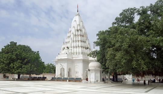mata mansa devi