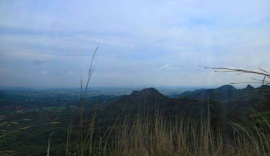 MORNI HILLS